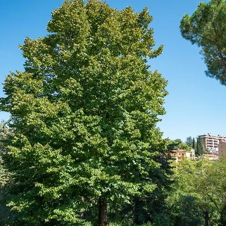 San Galigano * Perugia