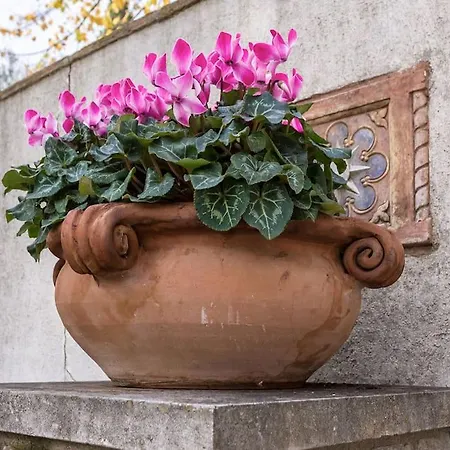 Appartement San Galigano Pérouse