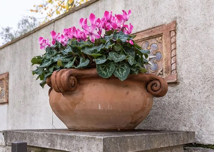 公寓 San Galigano 佩鲁贾